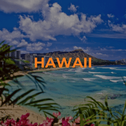 grapevinegold travel deals hawaii